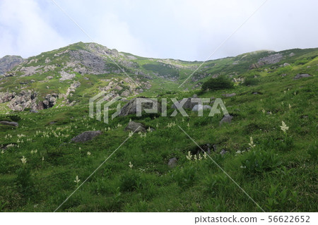 Road to Kasagatake, Northern Alps Kasshindo Landscape of Choshidaira 56622652