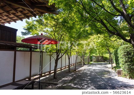 Ogura Castle Garden 1-2, Ogura Kita-ku, Kitakyushu City 56623614
