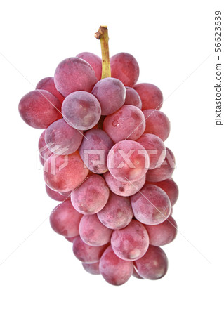 Grapes (Sunny Rouge) Grapes (Sunny Rouge) 56623839