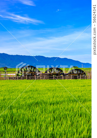 Asakura Triple watermill大型壁畫投入使用早晨景觀[福岡縣朝倉市] 56624341