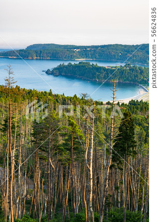 查看從氣仙沼Kameyama 045的頂部 56624836