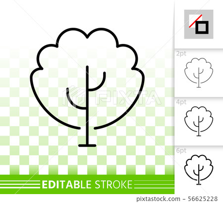 Tree maple sapling simple black line vector icon 56625228