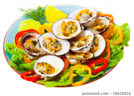 Dog cockles (bivalve mollusks) 56626828