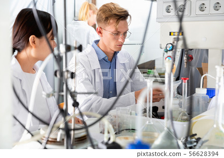 Portrait of group of European and Chinese scientists working together at biochemical laboratory 56628394