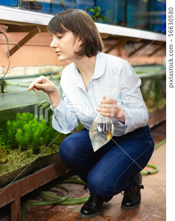 Female aquarist looking for fish Female aquarist looking for fish 56630580