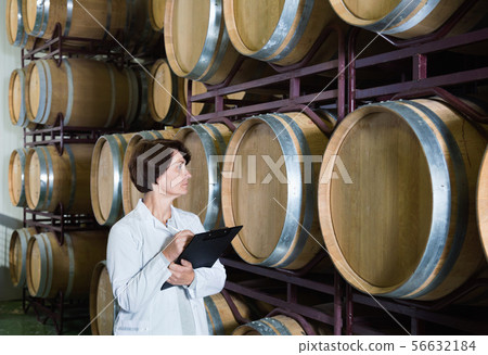 Expert examines equipment at winery Expert examines equipment at winery 56632184