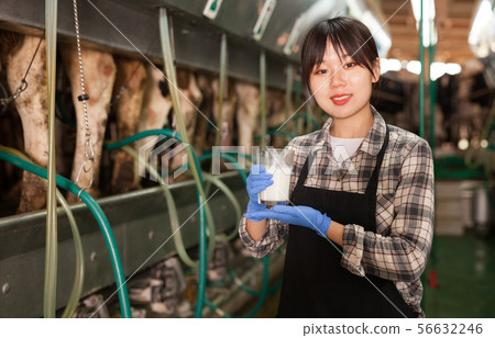 Milkmaid in apron standing with glass of fresh milk at farm in cowshed 56632246