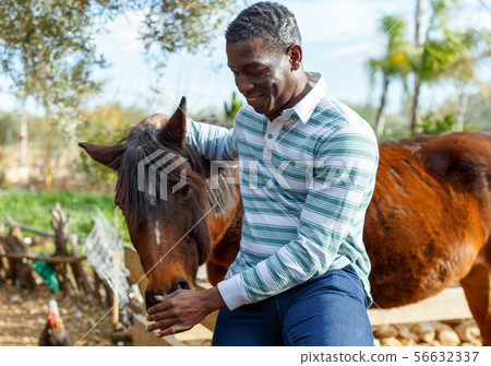 Farmworker carrying horse Farmworker carrying horse 56632337
