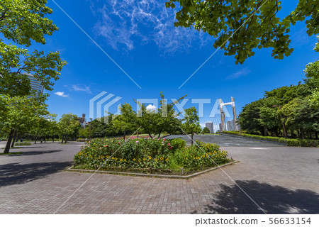 Scenery of Kiba Park Scenery of Kiba Park 56633154