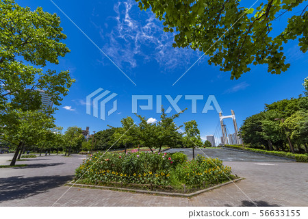 Scenery of Kiba Park Scenery of Kiba Park 56633155