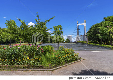 Scenery of Kiba Park 56633156
