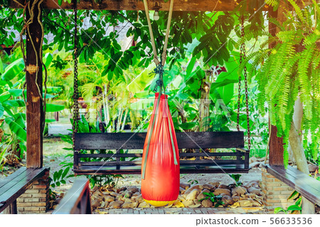 Red sand bag for Muay Thai hanging in the garden Red sand bag for Muay Thai hanging in the garden 56633536