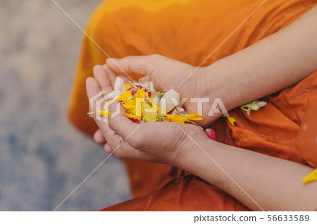 People pouring water to Buddhist Monk  56633589