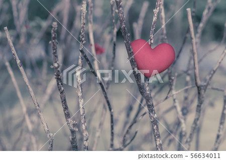 A little red heart pillow on dry tree. 56634011