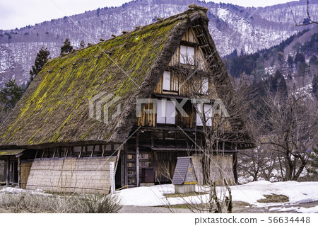 (Gifu) Shirakawa-go, Gassho-style private house garden, thaw 56634448