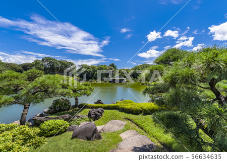 Landscape of Kiyosumi Garden 56634635