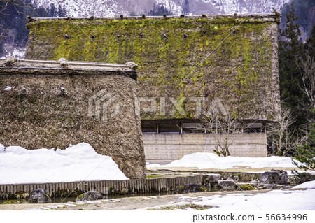 (Gifu) Shirakawa-go, Gassho-style private house garden, thaw (Gifu) Shirakawa-go, Gassho-style private house garden, thaw 56634996