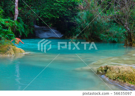 Tat Kuang Si Waterfalls Beautiful landscape Tat Kuang Si Waterfalls Beautiful landscape 56635097