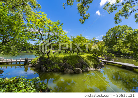 Landscape of Kiyosumi Garden Landscape of Kiyosumi Garden 56635121