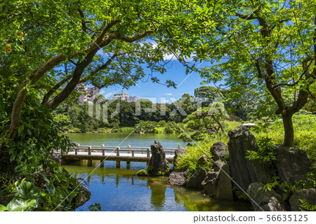 清水園景觀 清水園景觀 56635125