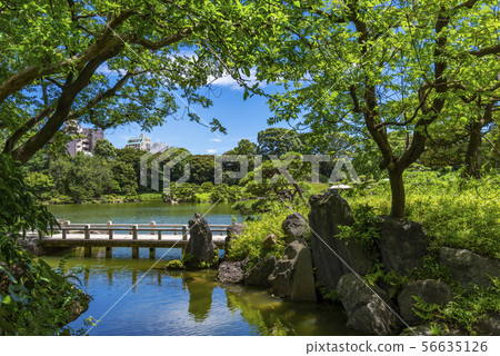 清水園景觀 56635126