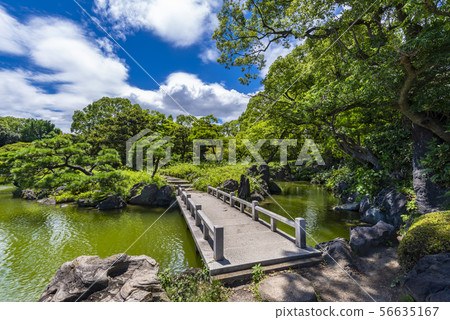 Landscape of Kiyosumi Garden 56635167