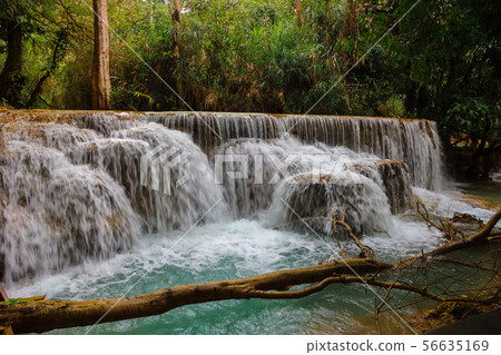 Tat Kuang Si Waterfalls Beautiful landscape 56635169