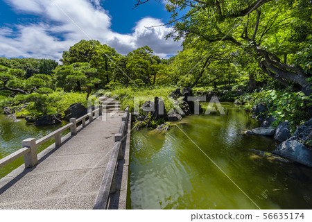 Landscape of Kiyosumi Garden 56635174