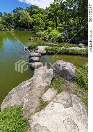 清水園景觀 56635187