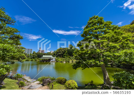 Kiyosumi Garden Pond and Ryotei 56635193