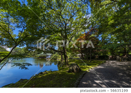 Landscape of Kiyosumi Garden Landscape of Kiyosumi Garden 56635199