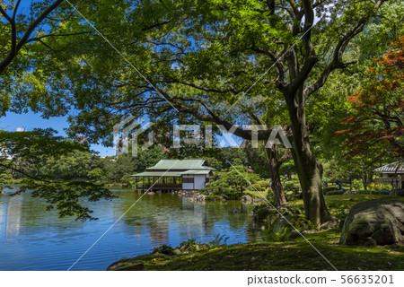清水園景觀 56635201