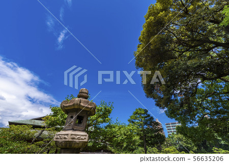 清水園景觀 56635206