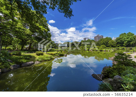 Landscape of Kiyosumi Garden 56635214