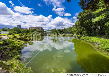 Landscape of Kiyosumi Garden 56635227
