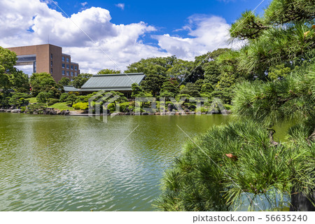 Pine tree in Kiyosumi Garden Pine tree in Kiyosumi Garden 56635240