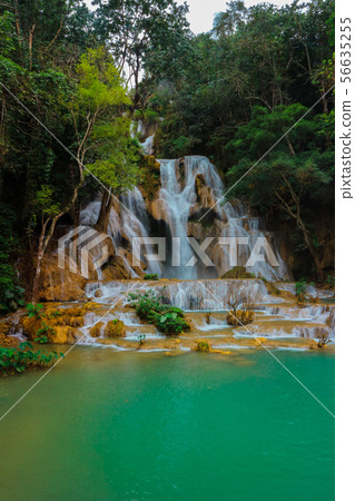 Tat Kuang Si Waterfalls Beautiful landscape Tat Kuang Si Waterfalls Beautiful landscape 56635255