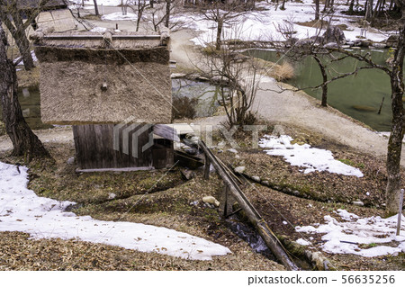 (Gifu Prefecture) Shirakawa-go, Gassho-style private house garden (Gifu Prefecture) Shirakawa-go, Gassho-style private house garden 56635256