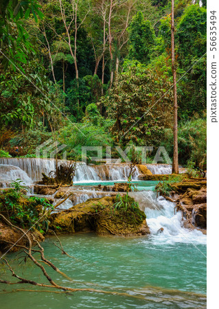 Tat Kuang Si Waterfalls Beautiful landscape Tat Kuang Si Waterfalls Beautiful landscape 56635494