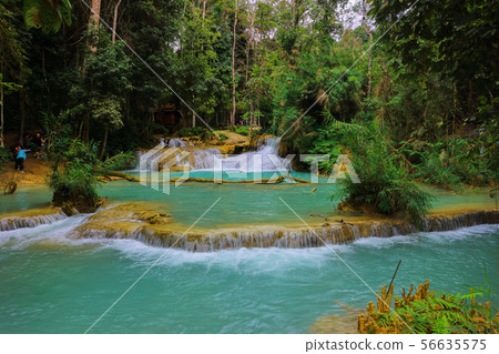 Tat Kuang Si Waterfalls Beautiful landscape Tat Kuang Si Waterfalls Beautiful landscape 56635575
