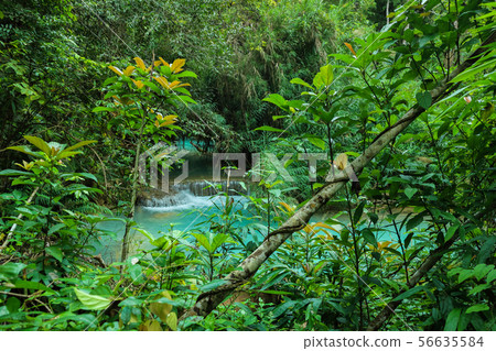 Tat Kuang Si Waterfalls Beautiful landscape Tat Kuang Si Waterfalls Beautiful landscape 56635584