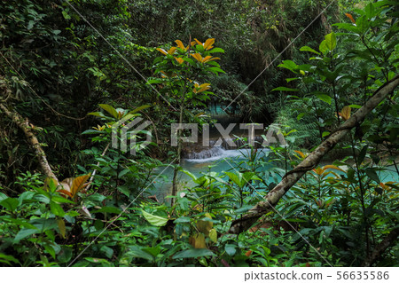 Tat Kuang Si Waterfalls Beautiful landscape Tat Kuang Si Waterfalls Beautiful landscape 56635586