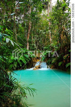 Tat Kuang Si Waterfalls Beautiful landscape Tat Kuang Si Waterfalls Beautiful landscape 56635606