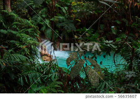 Tat Kuang Si Waterfalls Beautiful landscape Tat Kuang Si Waterfalls Beautiful landscape 56635607