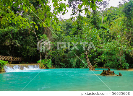 Tat Kuang Si Waterfalls Beautiful landscape Tat Kuang Si Waterfalls Beautiful landscape 56635608