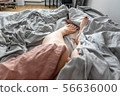 Men's and women's morning legs in bed under a blanket 56636000