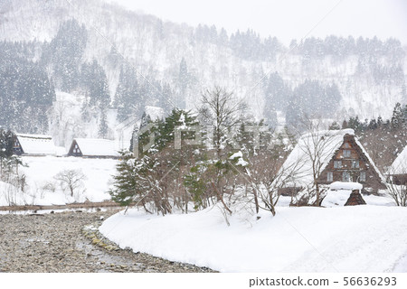 Snow scenery of Shirakawago Snow scenery of Shirakawago 56636293