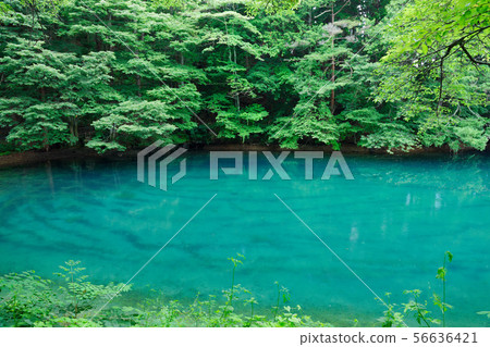 Hiraide的噴泉和新鮮的綠色 Hiraide的噴泉和新鮮的綠色 56636421