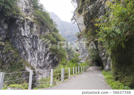 太魯閣國家公園白楊步道鬼斧神工的大理岩峽谷景觀 56637398