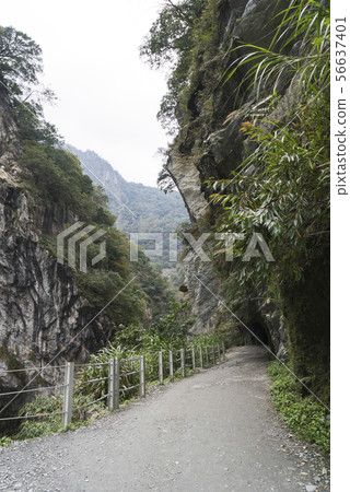 The marble gorge landscape of the Taroko National Park in the Taroko National Park 56637401